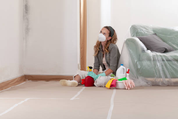 Reliable Black Mold Removal contractor in Watertown, MN by WQB Mold Removal